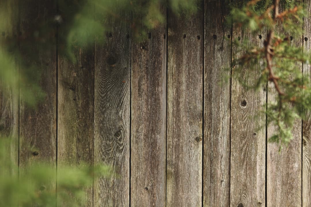 A treated wooden fence running alongside garden greenery