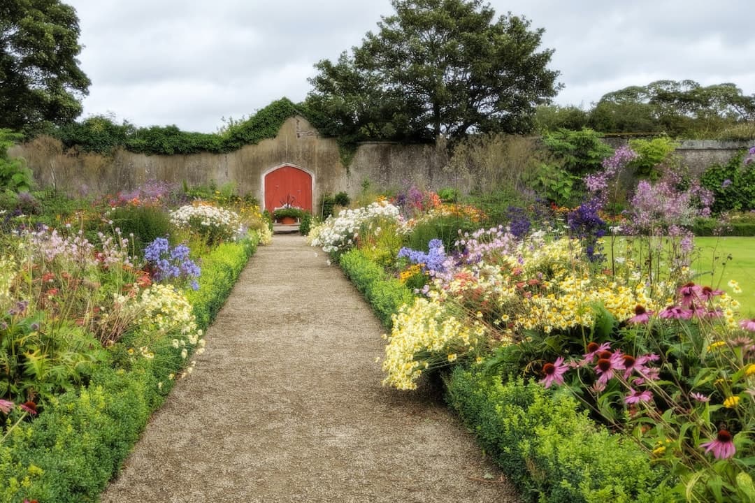 Flower borders lining a neat gravel path