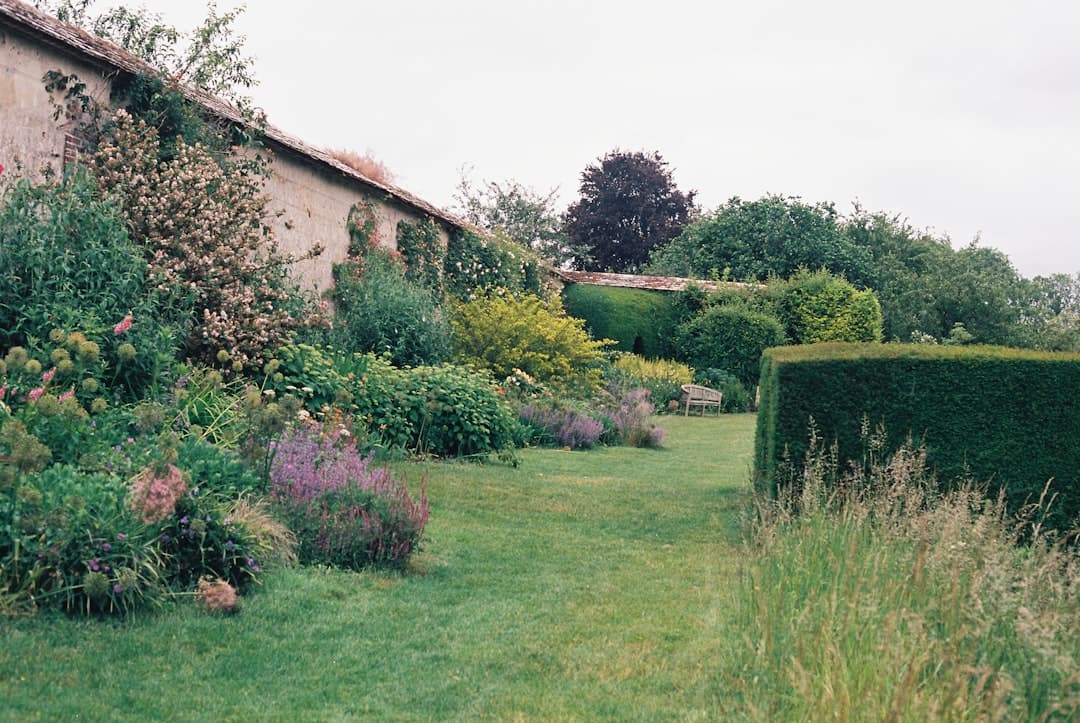 A well kept country garden with a trimmed lawn, tall hedge and stone outbuilding